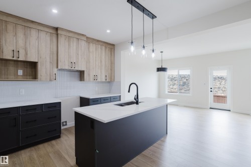 6223 29 Avenue, Edmonton, AB - Indoor Photo Showing Kitchen With Double Sink