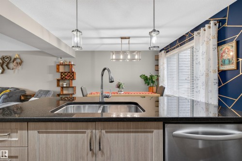 1013 162 Street, Edmonton, AB - Indoor Photo Showing Kitchen With Double Sink