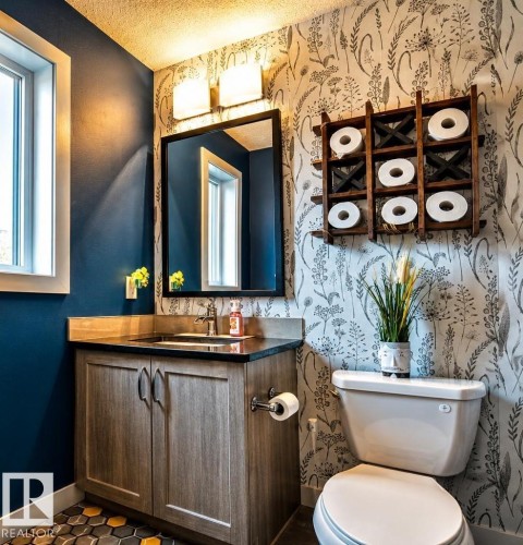 1013 162 Street, Edmonton, AB - Indoor Photo Showing Bathroom