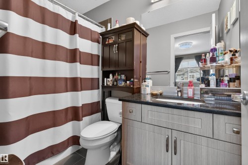 1013 162 Street, Edmonton, AB - Indoor Photo Showing Bathroom