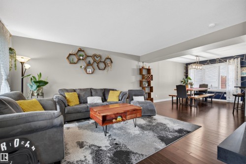 1013 162 Street, Edmonton, AB - Indoor Photo Showing Living Room