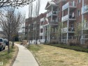 341 263 Macewan Road, Edmonton, AB  - Outdoor With Facade 