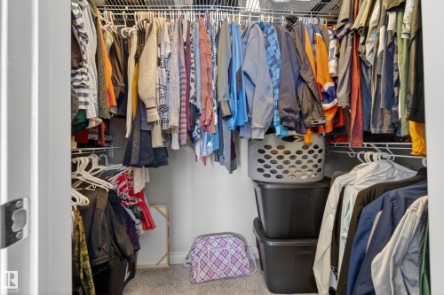Walk-in closet featuring carpet flooring, white walls, and white wire shelving - 7074 Cardinal Way, Edmonton, AB - Indoor With Storage