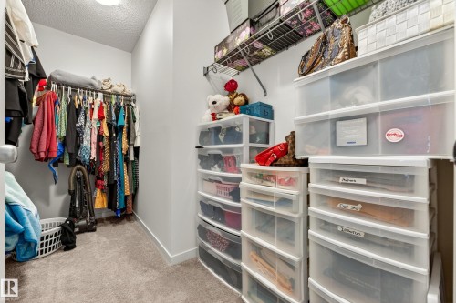Walk-in closet featuring carpet flooring, white walls, built-in wire shelving, and a ceiling-mounted light fixture - 38 Jensen Gate, St. Albert, AB - Indoor With Storage