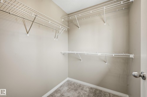 Walk-in closet featuring wire shelving, neutral wall paint, white baseboards, and carpet flooring - 2170 52A Street Sw, Edmonton, AB - Indoor With Storage