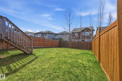 Expansive grass lawn bordered by wooden privacy fencing - 2170 52A Street Sw, Edmonton, AB - Outdoor
