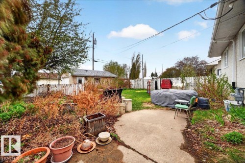 Expansive backyard featuring a concrete patio area, mature perimeter shrubs, and a partial wood fence - 4212 105 Avenue, Edmonton, AB - Outdoor