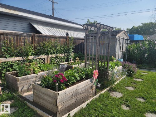 Fenced backyard featuring multiple raised garden beds, a garden arbor, a storage shed, and stepping stones. - 4825 52 Street, Elk Point, AB - Outdoor
