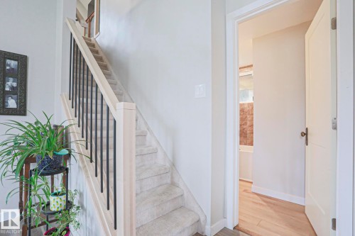 Carpeted staircase with light wood newel posts and black metal balusters - 5113 53 Avenue, Stony Plain, AB - Indoor Photo Showing Other Room