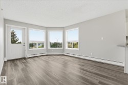 Spacious room featuring wood-finish flooring, light gray wall paint, and multiple windows - 
