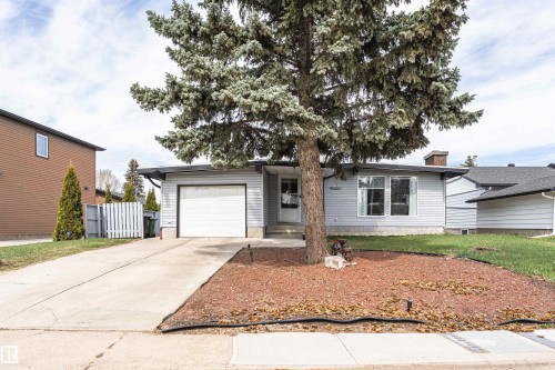 Light gray siding exterior with a prominent mature evergreen tree - 10412 39 Avenue, Edmonton, AB - Outdoor