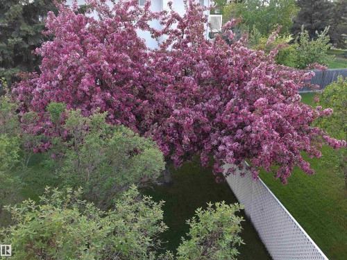 #1 Colonial Close, Beaumont, AB - Outdoor