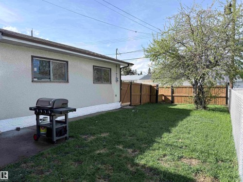 Spacious backyard featuring a chain-link fence, a privacy fence, a mature tree, and a concrete patio area - 8812 135 Avenue, Edmonton, AB - Outdoor