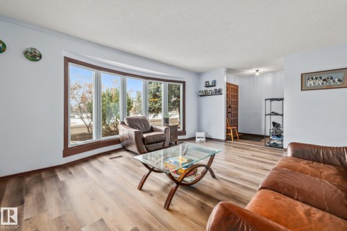 8812 135 Avenue, Edmonton, AB - Indoor Photo Showing Living Room