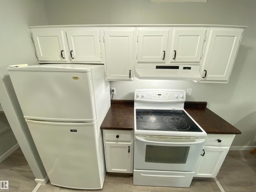 302 10826 113 Street, Edmonton, AB - Indoor Photo Showing Kitchen