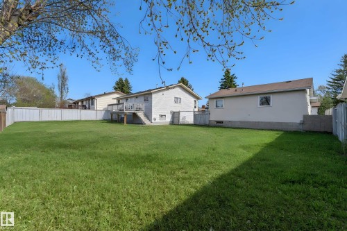 Expansive green lawn extending across the backyard - 3520 19 Avenue, Edmonton, AB - Outdoor With Backyard