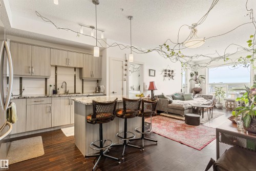 410 10523 123 Street, Edmonton, AB - Indoor Photo Showing Kitchen With Upgraded Kitchen