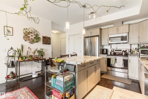 410 10523 123 Street, Edmonton, AB - Indoor Photo Showing Kitchen With Stainless Steel Kitchen With Upgraded Kitchen