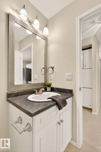 316 Wild Rose Way, Edmonton, AB - Indoor Photo Showing Bathroom