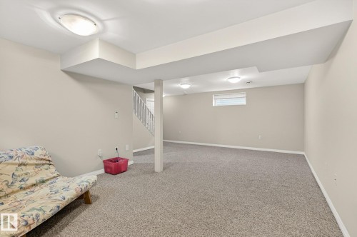 316 Wild Rose Way, Edmonton, AB - Indoor Photo Showing Basement