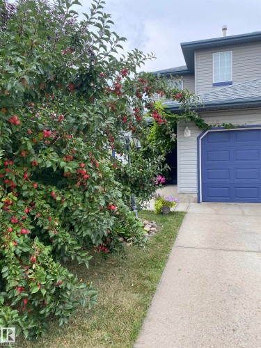316 Wild Rose Way, Edmonton, AB - Outdoor
