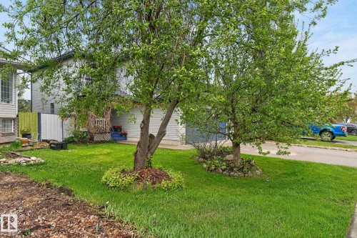316 Wild Rose Way, Edmonton, AB - Outdoor