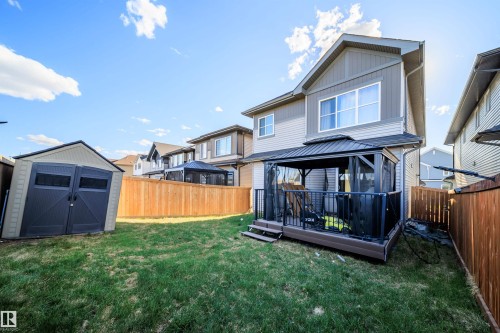 Expansive backyard featuring a manicured lawn, a privacy fence, and an outdoor storage shed - 9651 229 Street, Edmonton, AB - Outdoor