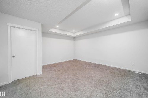 Spacious room featuring a tray ceiling with recessed lighting, neutral-toned carpeting, white walls, and a contemporary white door with a round silver door handle - 9651 229 Street, Edmonton, AB - Indoor Photo Showing Other Room
