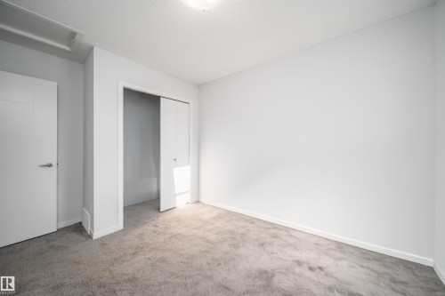 Bright room featuring neutral gray carpeting and white walls - 9651 229 Street, Edmonton, AB - Indoor Photo Showing Other Room