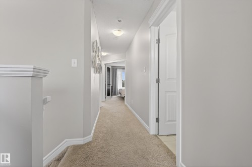 Hallway featuring neutral carpet, light gray wall paint, white trim, and flush mount ceiling lighting - 2146 Austin Link Link, Edmonton, AB - Indoor Photo Showing Other Room