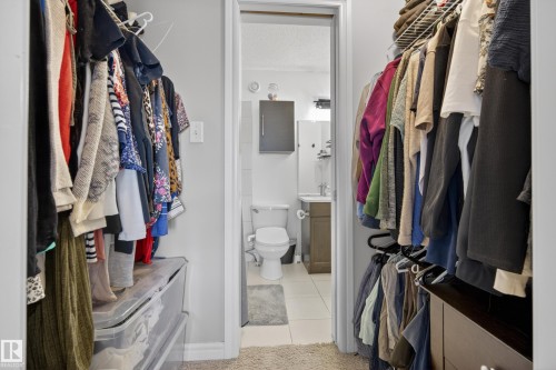 Walk-in closet featuring carpet flooring and overhead shelving - 2146 Austin Link Link, Edmonton, AB - Indoor With Storage