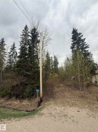 445 Lakeview Drive Rural Lac Ste. Anne County, AB T0E 1V0