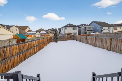 Expansive fenced backyard with a single evergreen tree, offering ample space - 4723 Alwood Bend Sw, Edmonton, AB - Outdoor
