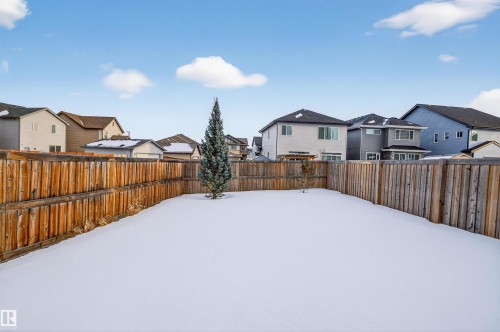 Expansive backyard featuring a full perimeter wood fence, a mature evergreen tree, and a smaller evergreen sapling - 4723 Alwood Bend Sw, Edmonton, AB - Outdoor With Exterior