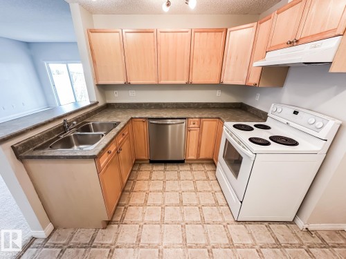 14 3040 Spence Wynd, Edmonton, AB - Indoor Photo Showing Kitchen With Double Sink