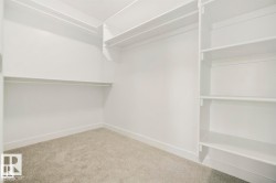 Walk-in closet featuring light gray carpet flooring, white walls, and white trim - 