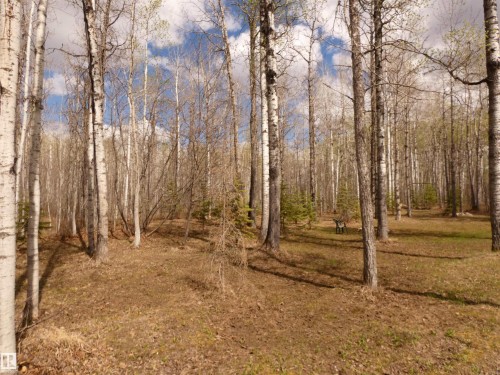 Wooded parcel featuring LOADS of assorted trees. There are walking paths cut through the 1.1 acre property so you don't have to leave home to have an enjoyable walk in natural surroundings. Owner has also planted some evergreens, watch them grow. - 307 Willow Place, Rural Barrhead County, AB 
