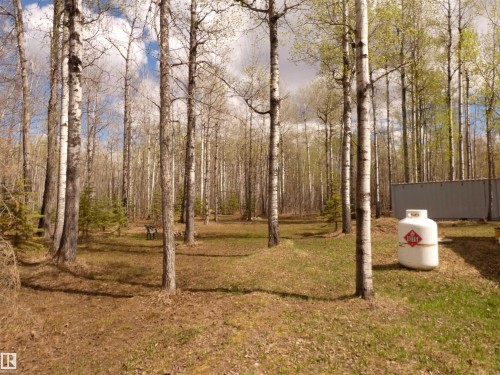 Wooded property featuring numerous mature deciduous trees and a natural grass ground cover - 307 Willow Place, Rural Barrhead County, AB 