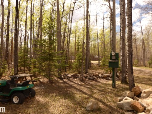 Wooded parcel featuring mature deciduous and evergreen trees;  young evergreens were planted & will be great additional privacy - 307 Willow Place, Rural Barrhead County, AB 