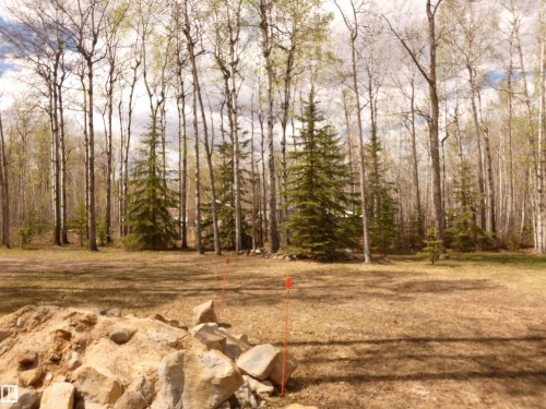 Expansive treed lot featuring mature deciduous and evergreen trees, a cleared open area, and natural terrain - 307 Willow Place, Rural Barrhead County, AB 