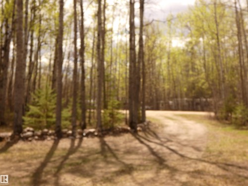 Another view, showing the driveway entrance... cottage is set well back of the road for peace and tranquility - 307 Willow Place, Rural Barrhead County, AB 