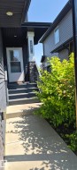 Entryway featuring a white door with a window, dark siding, and a stone-clad pillar - 