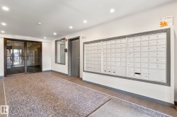 Interior mailboxes featuring a grey trim against a white wall - 