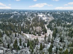 River landscape featuring dense evergreen and deciduous trees, with snow-dusted ground and distant urban architecture - 