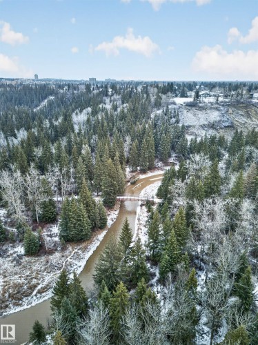 Expansive natural landscape featuring a winding river, dense evergreen forests, and a pedestrian bridge - 569 Butterworth Way, Edmonton, AB - Outdoor With View