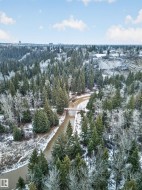 Expansive natural landscape featuring a winding river, dense evergreen forests, and a pedestrian bridge - 