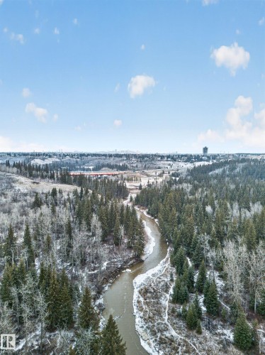 Winding river surrounded by a dense forest of evergreen and deciduous trees, with snow-dusted banks and distant urban structures under a bright sky - 569 Butterworth Way, Edmonton, AB - Outdoor With View