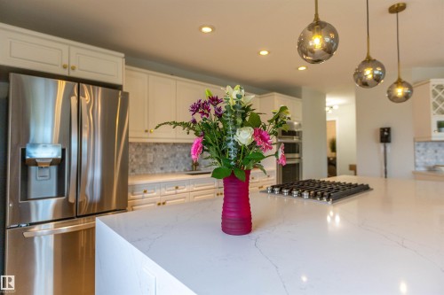303 20 Grange Drive, St. Albert, AB - Indoor Photo Showing Kitchen