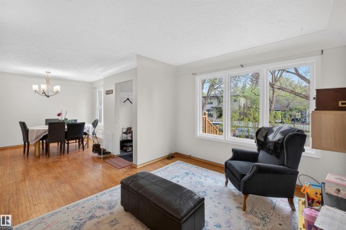 10651 66 Avenue, Edmonton, AB - Indoor Photo Showing Living Room