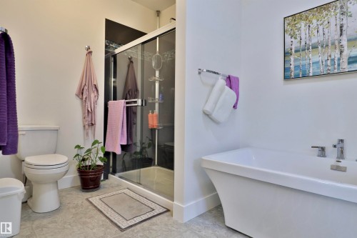 45 Poplar Bay, Rural Wetaskiwin County, AB - Indoor Photo Showing Bathroom